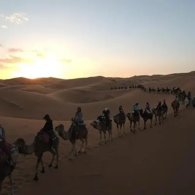 a group of people riding camels in the desert at Kasbah Tamariste in Merzouga