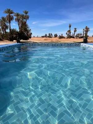 a pool of blue water with palm trees in the background at Sky Luxury Camp in Mhamid