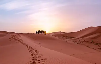 a group of people walking through the desert at sunset at Typical Luxury Desert Camp in Merzouga