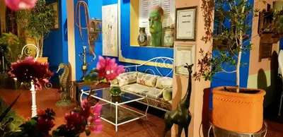 a living room filled with lots of plants and a couch at Riad Jasmine Sud in Zagora