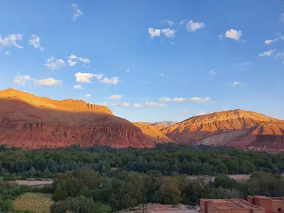 a view of the desert with mountains and trees at Kasbah Chems in Kalaat MGouna