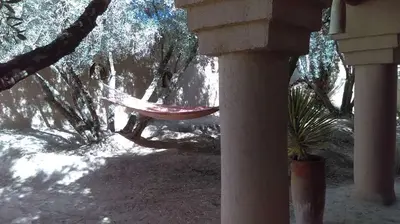 a hammock in the shade of a tree at Dar Lorkam in Skoura