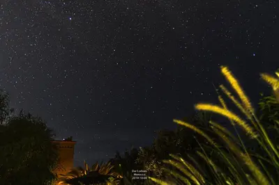 a starry night with palm trees and a building at Dar Lorkam in Skoura