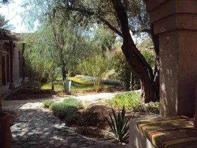 a garden with a tree and a stone path at Dar Lorkam in Skoura