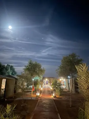 a street at night with cars driving down the street at Mustapha Camp Merzouga in Merzouga