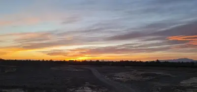 a sunset in a field with a dirt road at Kasbah Ait ben Damiette in Skoura