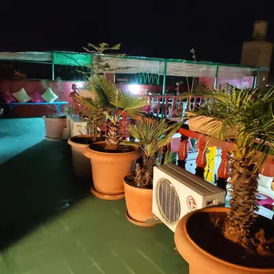 a group of potted plants sitting on a table at Ryad Bab Berdaine in Meknès