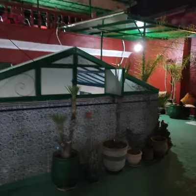 a room with potted plants on a wall at Ryad Bab Berdaine in Meknès