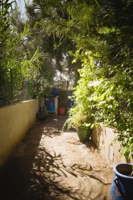 a shady alley with plants and a wall at Auberge Ayam Atlas- pool 10mn away in Ourika