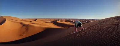 a bird standing on a sand dune in the desert at Erg Chigaga Camp Shooting Stars in Mhamid