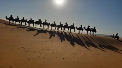 a group of people riding camels on the sand at Erg Merzouga Desert Camp in Merzouga