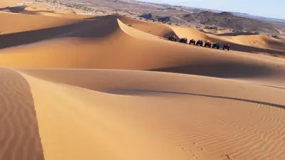a group of people standing on top of a sand dune at Erg Merzouga Desert Camp in Merzouga