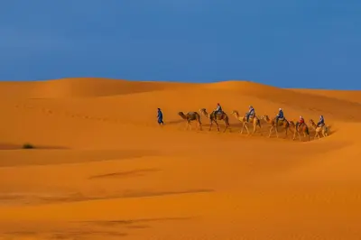 a group of people riding camels in the desert at Bivouac Luna in Mhamid