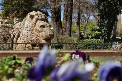 a park with a rock and purple flowers at Un havre de paix à Ifrane in Ifrane