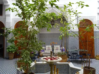 a living room with a couch and a table with plants at Dar Al Safadi in Fès