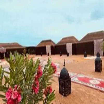 a row of huts in the desert with flowers in the foreground at Camel Trekking Desert Camp in Merzouga