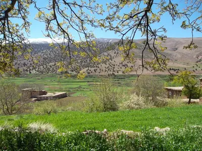 a picnic table in a field with mountains in the background at Dar Ait Bouguemez in Azilal