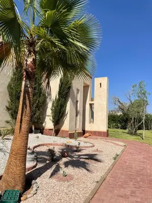 a palm tree in front of a building at fleur de marrakech in Marrakech
