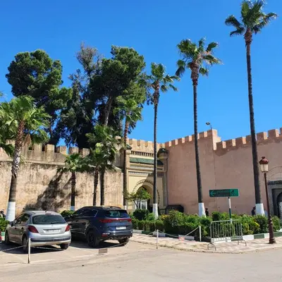 two cars parked in a parking lot with palm trees at Riad golf stinia in Meknès