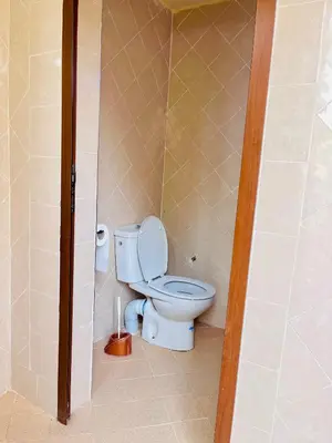 a bathroom with a white toilet in a stall at Camping auberge palmeraie d'amezrou in Zagora