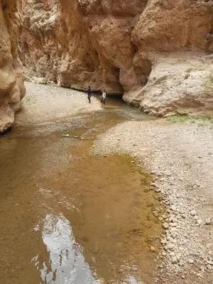 two people walking in the water in a canyon at Auberge oued dades in Boumalne