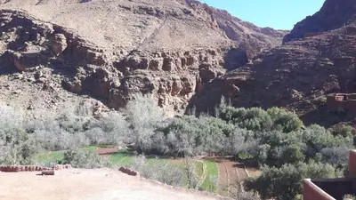 a view of a canyon with trees and a mountain at Auberge oued dades in Boumalne