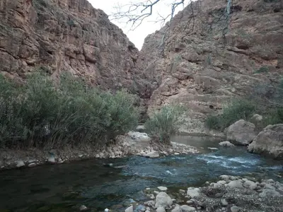 a river in a canyon with rocks and plants at Auberge oued dades in Boumalne