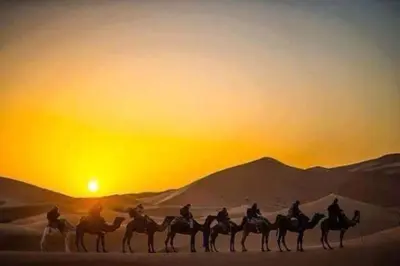 a group of people riding on camels in the desert at Sahara Nomad Camp in Merzouga