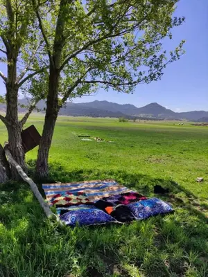 a blanket laying in the grass under a tree at Gîte Dayet Chiker in Taza