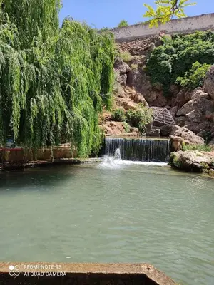 a pool of water with a waterfall in a park at Gîte Dayet Chiker in Taza