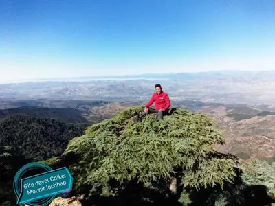 a man sitting on top of a tree on a mountain at Gîte Dayet Chiker in Taza