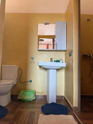 a bathroom with a sink and a toilet at chez JM saida in Ourika