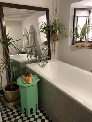 a bathroom with a tub and a mirror and plants at Riad Tizwa Fes in Fès