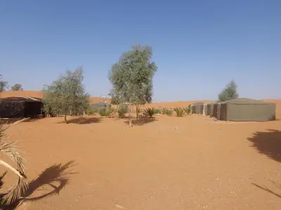 a desert with tents and trees in a field at Camel Trek Bivouac in Merzouga