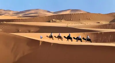 a group of people riding horses in the desert at Auberge Sahara Garden in Lac Yasmins