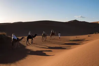 a group of people riding camels in the desert at Bivouac Karim Sahara in Zagora