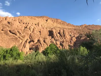 a rocky mountain with trees and bushes in the foreground at Maison D'hote Amazir DADES in Boumalne