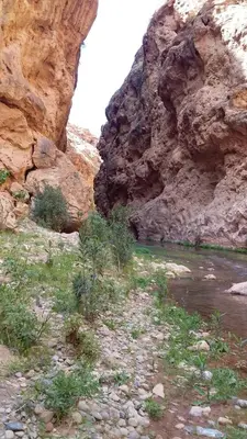 a river in a canyon with rocks and grass at Maison D'hote Amazir DADES in Boumalne