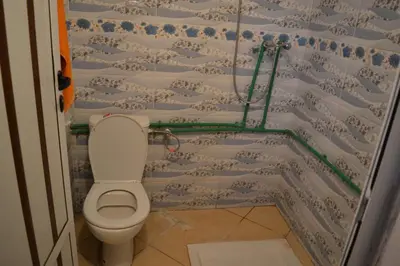 a bathroom with a toilet and a flock of sheep at Maison D'hote Amazir DADES in Boumalne