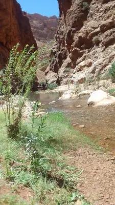 a river in the middle of a canyon at Maison D'hote Amazir DADES in Boumalne