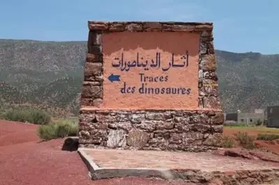 a sign that says trees die dinosaurs on a rock at Le petit Jardin in Demnat