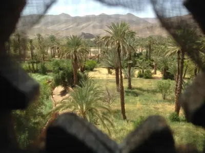 a view of a desert with palm trees and mountains at Chez Yacob kasbah in Agdz