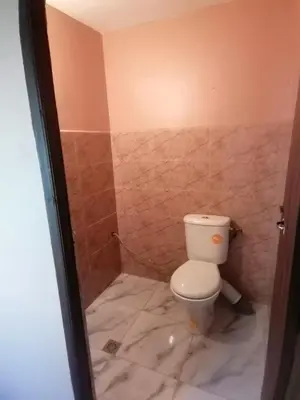 a bathroom with a toilet and a tiled wall at Dar Angour Tacheddirt in Tacheddirt