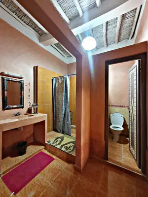 a bathroom with a toilet and a sink and a mirror at Riad Tazoulte in Agdz