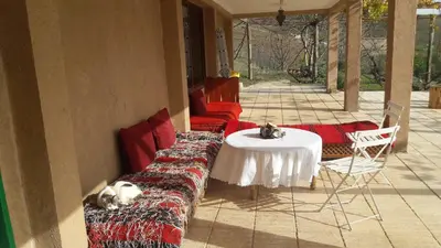 two cats laying on couches and a table on a patio at Le Chêne d´Azrou in Azrou