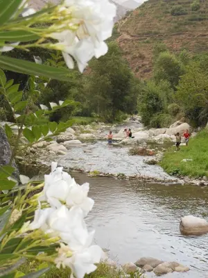 a group of people swimming in a river at Au Bord de l'Eau in Setti Fatma