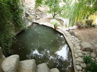 a pool of water with rocks in a garden at Au Bord de l'Eau in Setti Fatma
