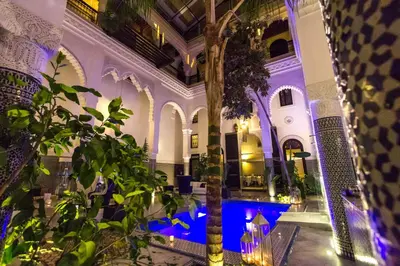 a room with a palm tree in a building with purple lighting at Riad Braya in Fès