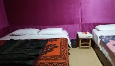two beds in a room with purple walls at Nomad Bivouac in Merzouga