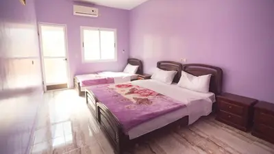 two beds in a room with purple walls at Kasbah Hotel Camping Jurassique in Ifri